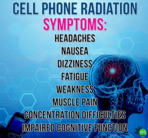 Screen-Shot-2017-11-14-at-17.18.32