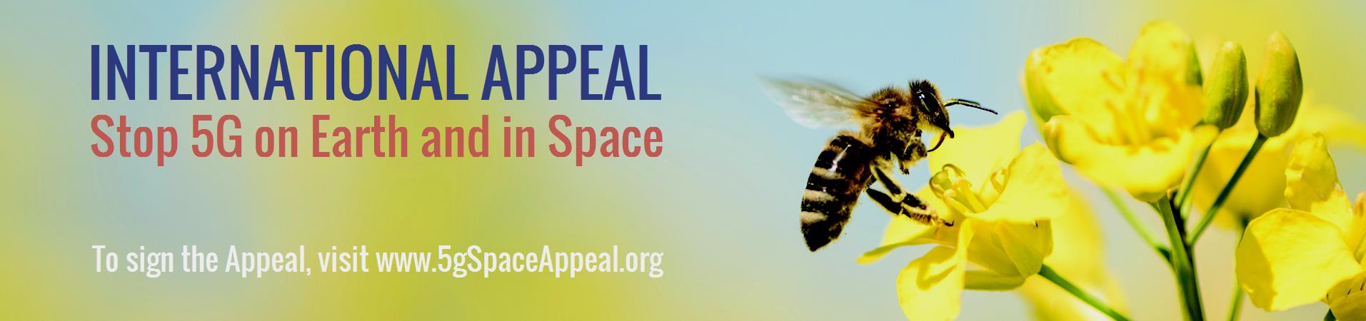 Banner for email of 11-6-2018