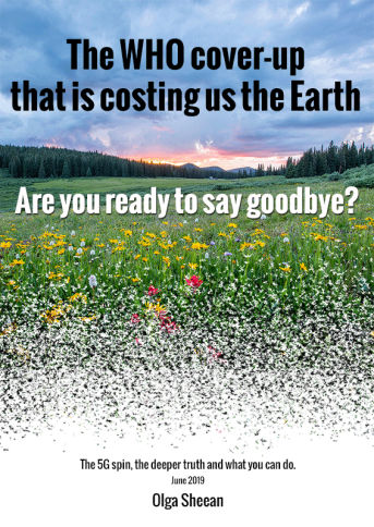 video-transcript-cover-4