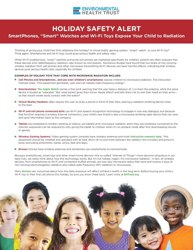 Fact-Sheet-Compilation-Holiday-Alert-page-001-1