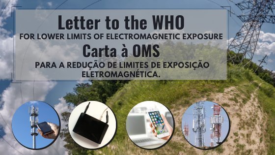 onxaBHuHPqIjDqz-800x450-noPad